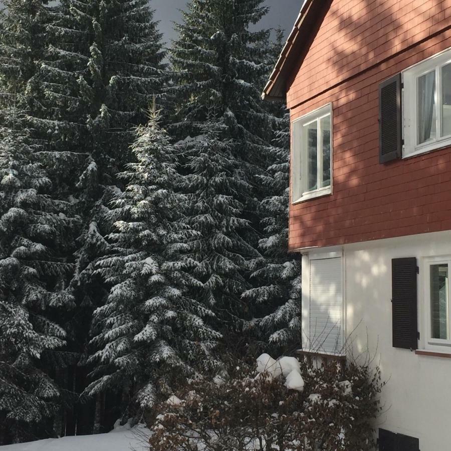 Ferienwohnung Boerner Kniebis Exterior foto